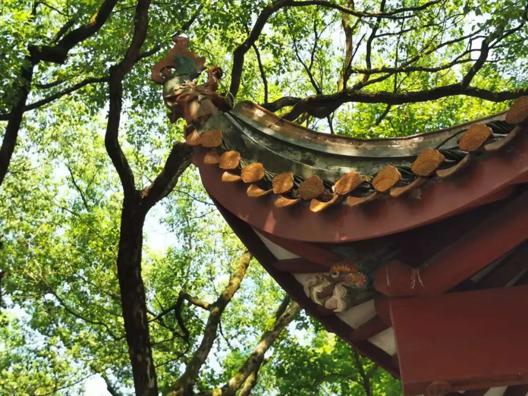 复盘投资逻辑,周大生深度分析