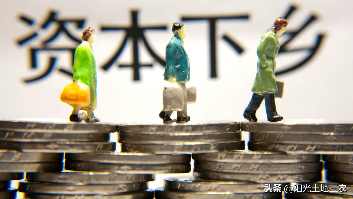 福建省2022年乡村振兴申报项目,2022年乡村振兴项目有哪些