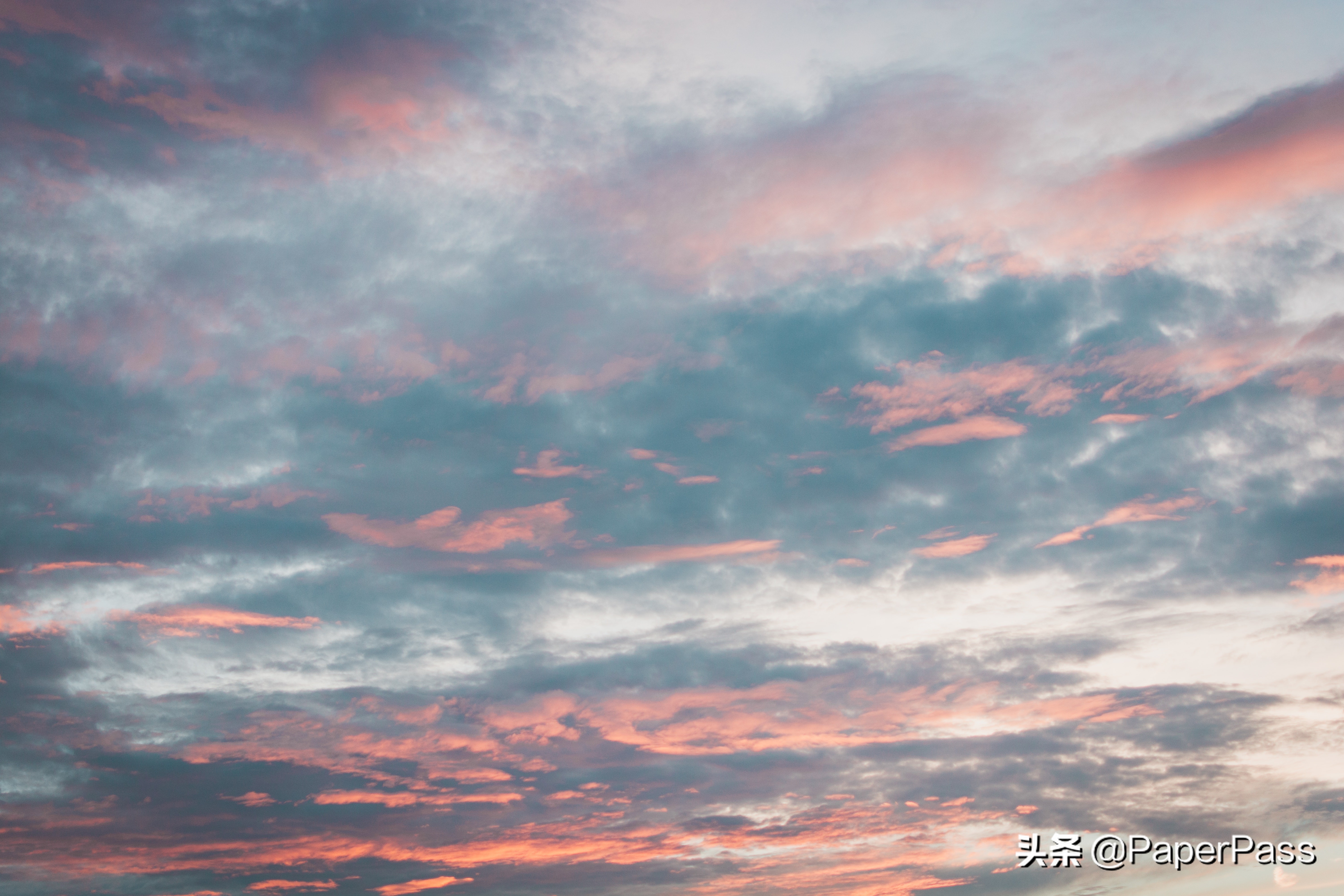 孤独是人生的常态吗怎么回答,孤独是大学的常态吗