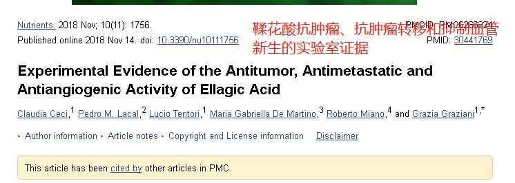 黑莓水果之王,生命之果黑莓