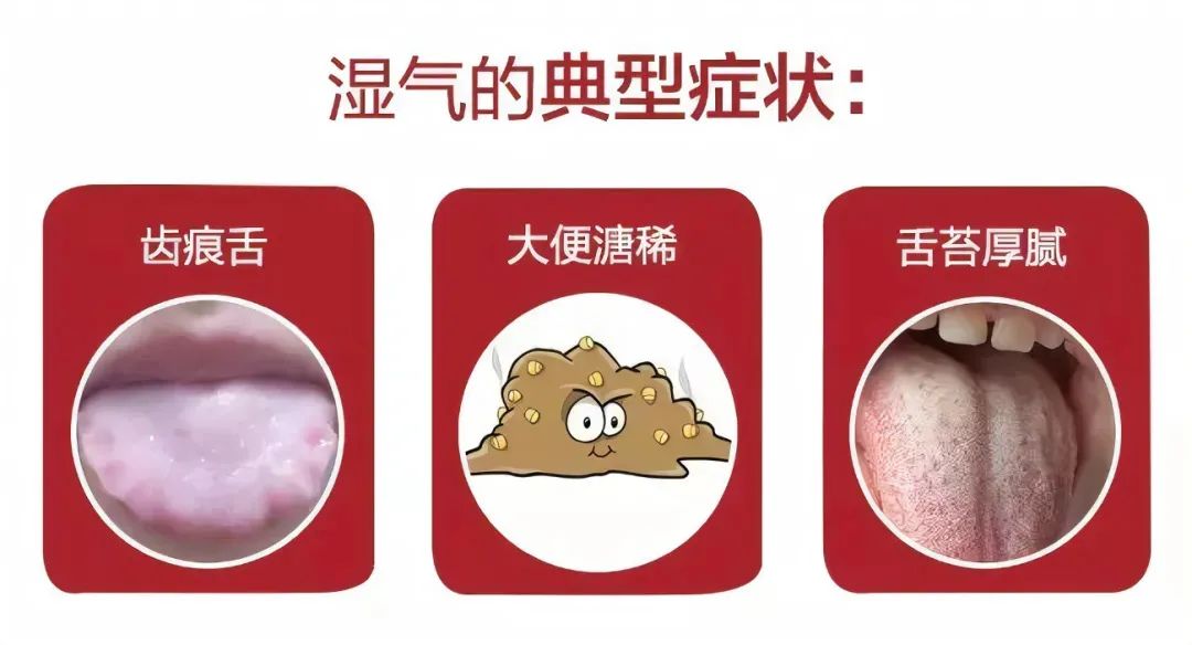 清热祛湿药的讲解视频,清热解毒除湿中药