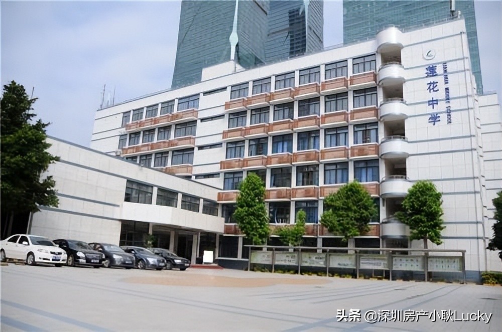 深圳中心天元539平户型图,深圳中心天元270平公寓户型图