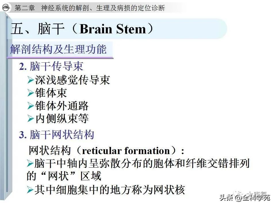 神经系统的影像与解剖定位,最全神经解剖图