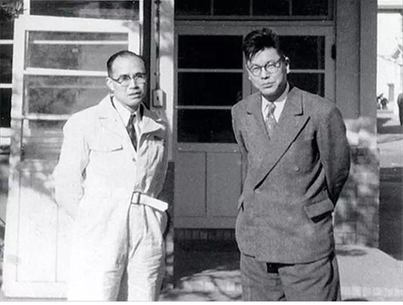 二轮考古学-本田幼兽编年史合集（1952-今）