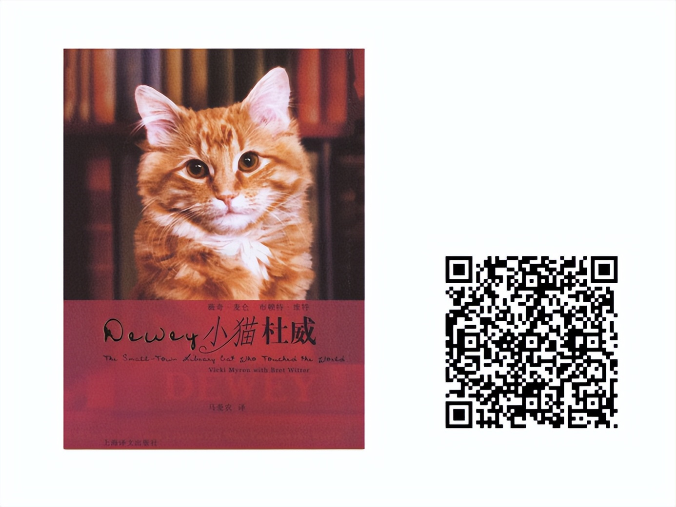 百馆荐书|万物有灵和谐共处——治愈系宠物书单