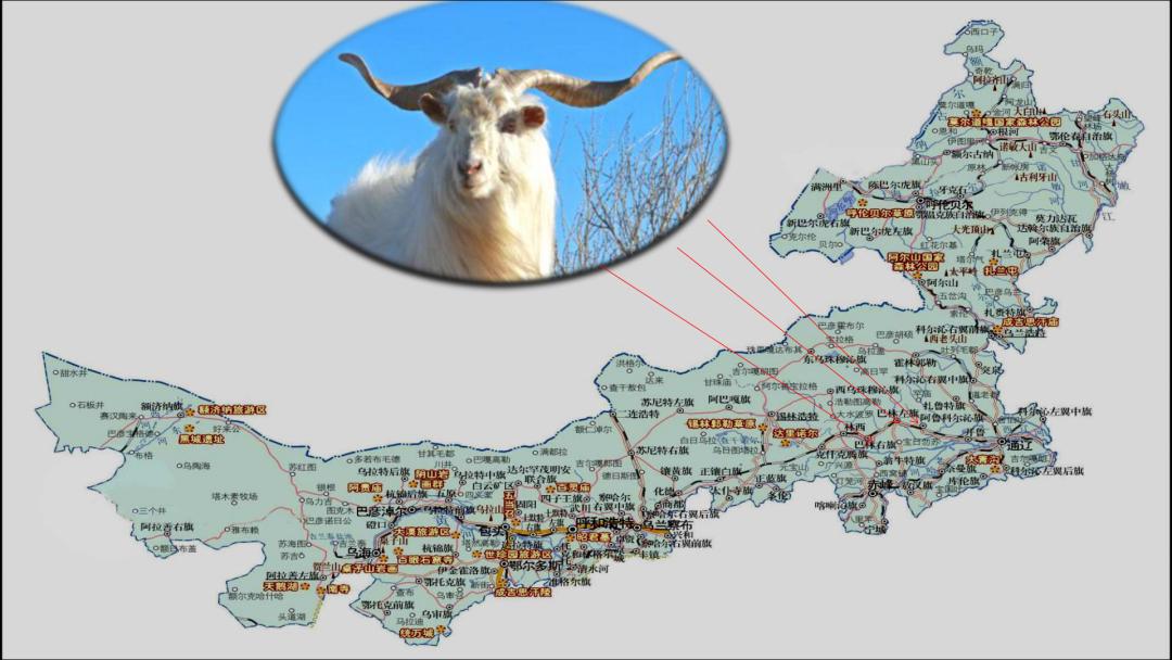 羊绒围巾什么牌子性价比高,小众羊绒围巾品牌推荐