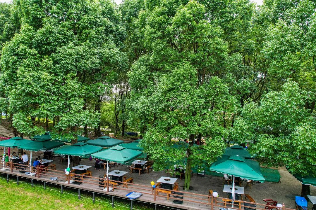 秀丽东方最新版,秀丽东方最新视频