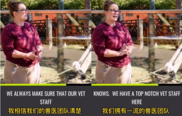 万人*愿请**国宝回家，留美熊猫遭遇了什么？