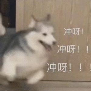 开小吃店一个月赚两万,开个小吃店一个月也就赚一万多