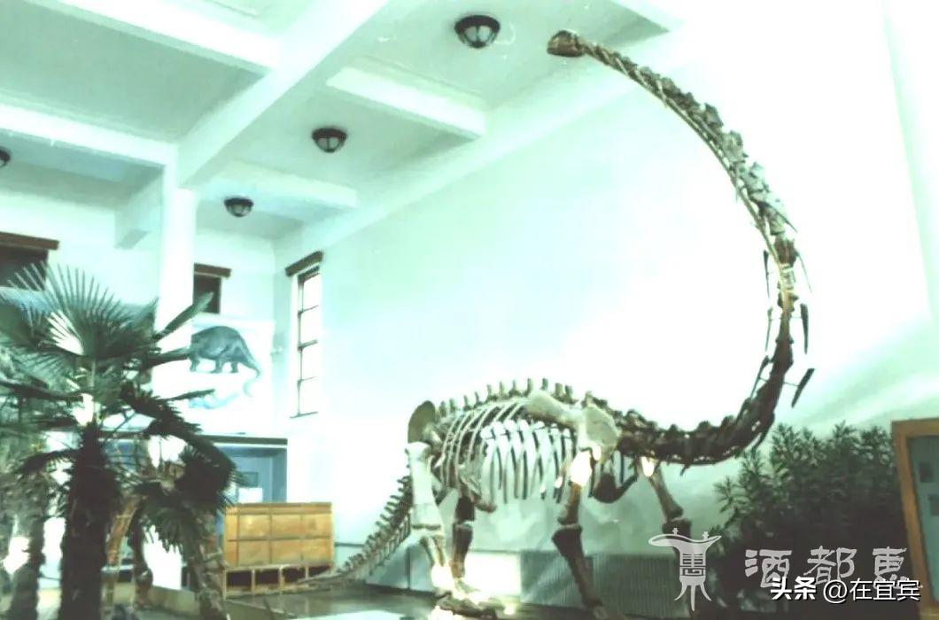 恐龙故乡黑龙江,四川的恐龙之乡