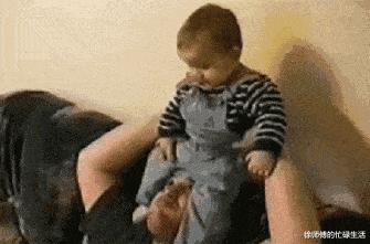 学生适合在宿舍里养的小宠物,在宿舍偷偷养的小宠物