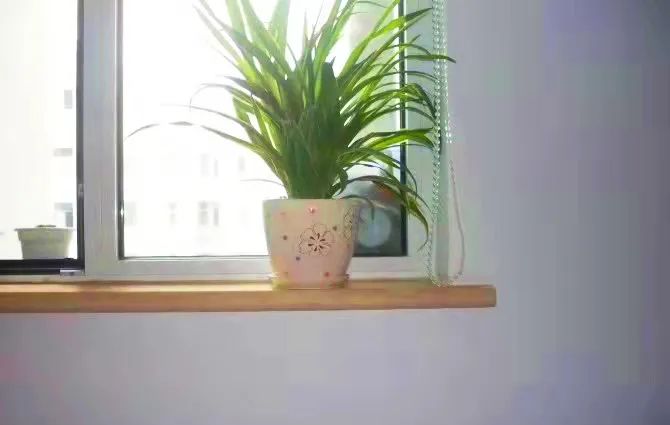 甲癌感恩的话,甲友心声抗癌15年