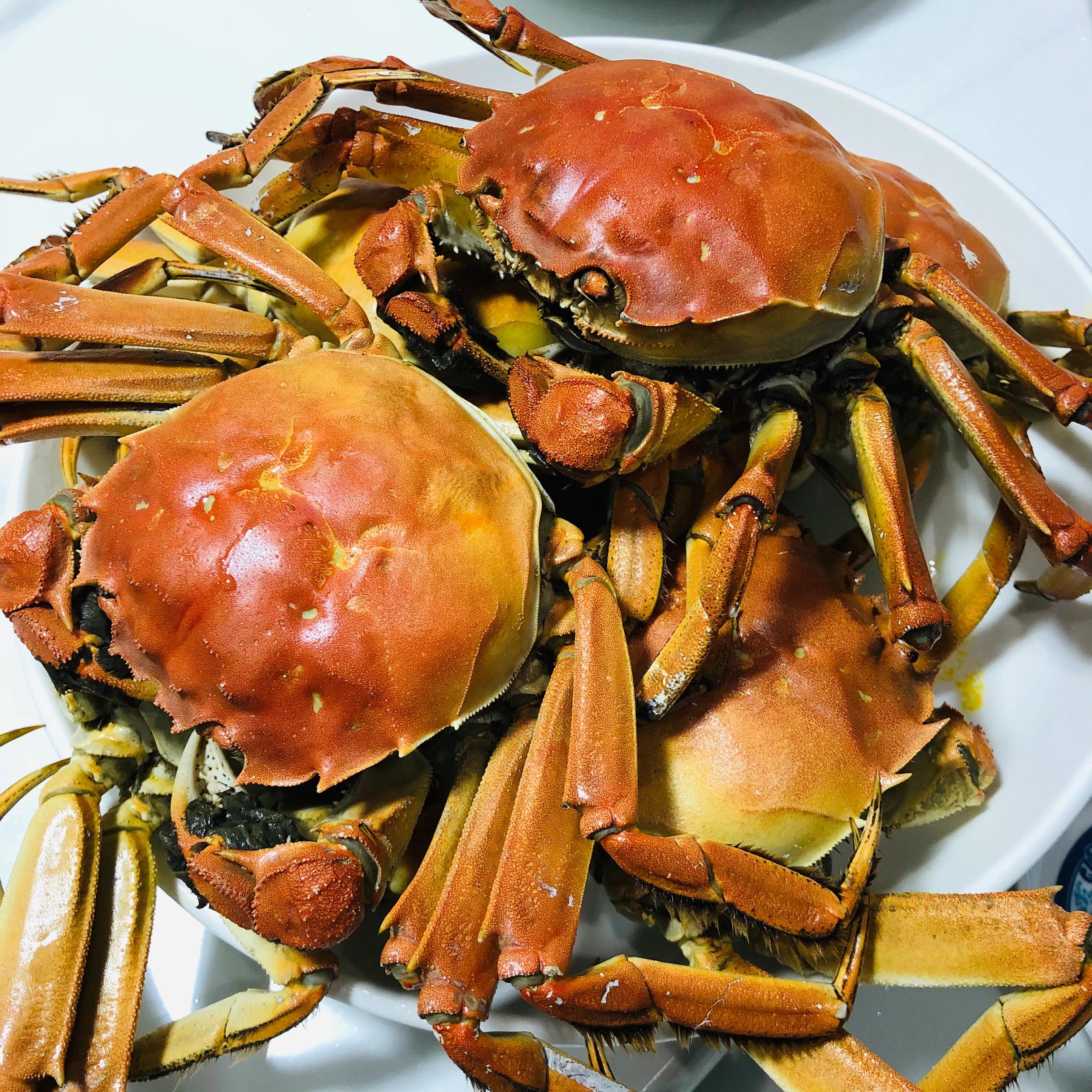 虎年吉祥康健万事顺意,虎年吉祥万事顺意阖家安康