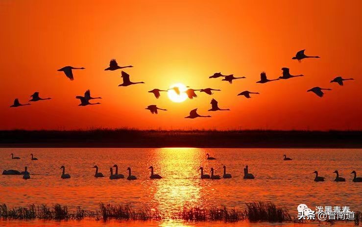 黄河大合唱歌曲黄河颂,黄河篇长风渡