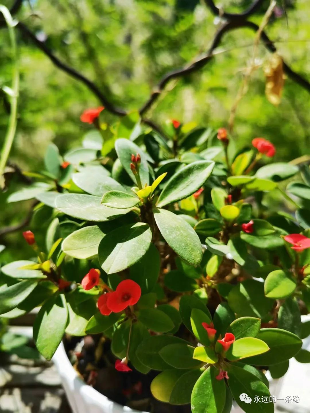 有情绪解决情绪,有情绪尽量别憋着