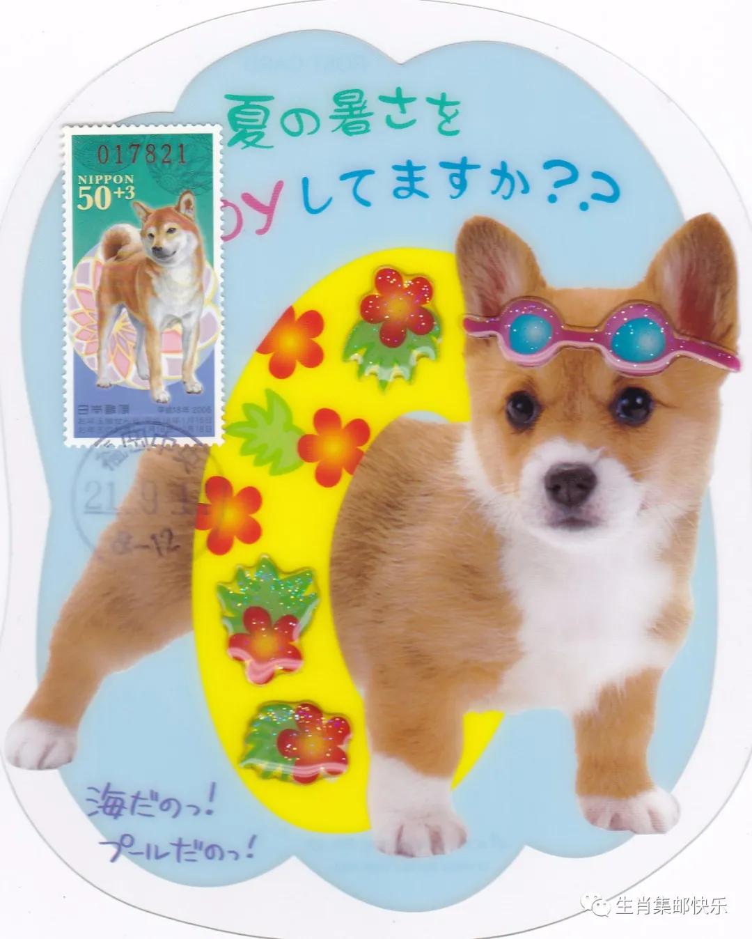 异形明信片如何写,异形明信片邮票贴哪里