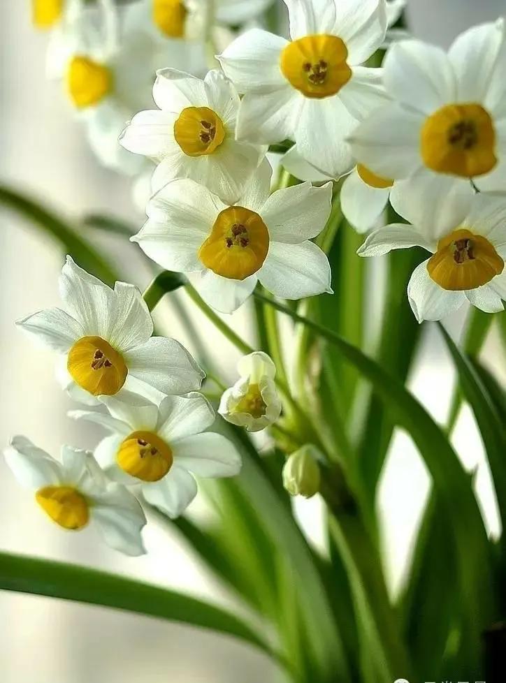 婆婆画画,婆婆画画教程