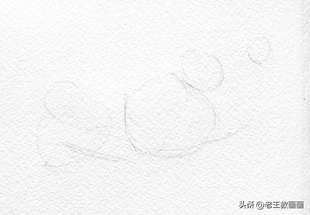 零基础学彩铅画多肉植物,三年级简单画桃花彩铅