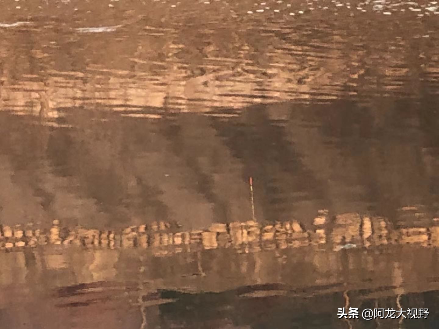 野钓：小河道巧夺大板鲫和黄骨鱼！分析得当，渔获自然少不了