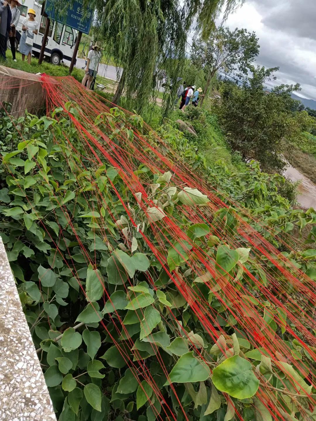 鬼节中国人过吗,你们有没有见过鬼节