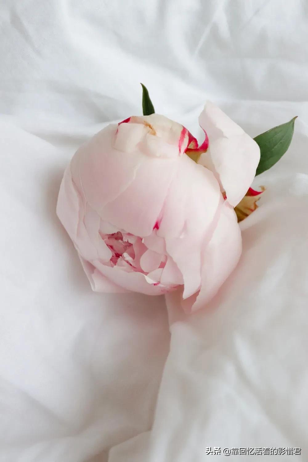 报复情人的最佳方案,情人最狠的分手方式