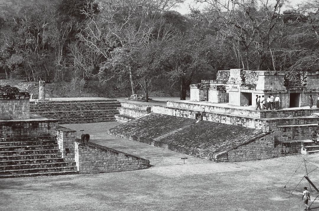 玛雅为何突然衰落,玛雅为什么突然衰落了