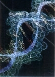 pcr反应的基本原理和过程,pcr原理及原料