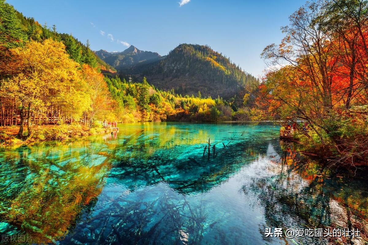 你被别人删除微信会有什么提示,你被好友删除了有提示吗