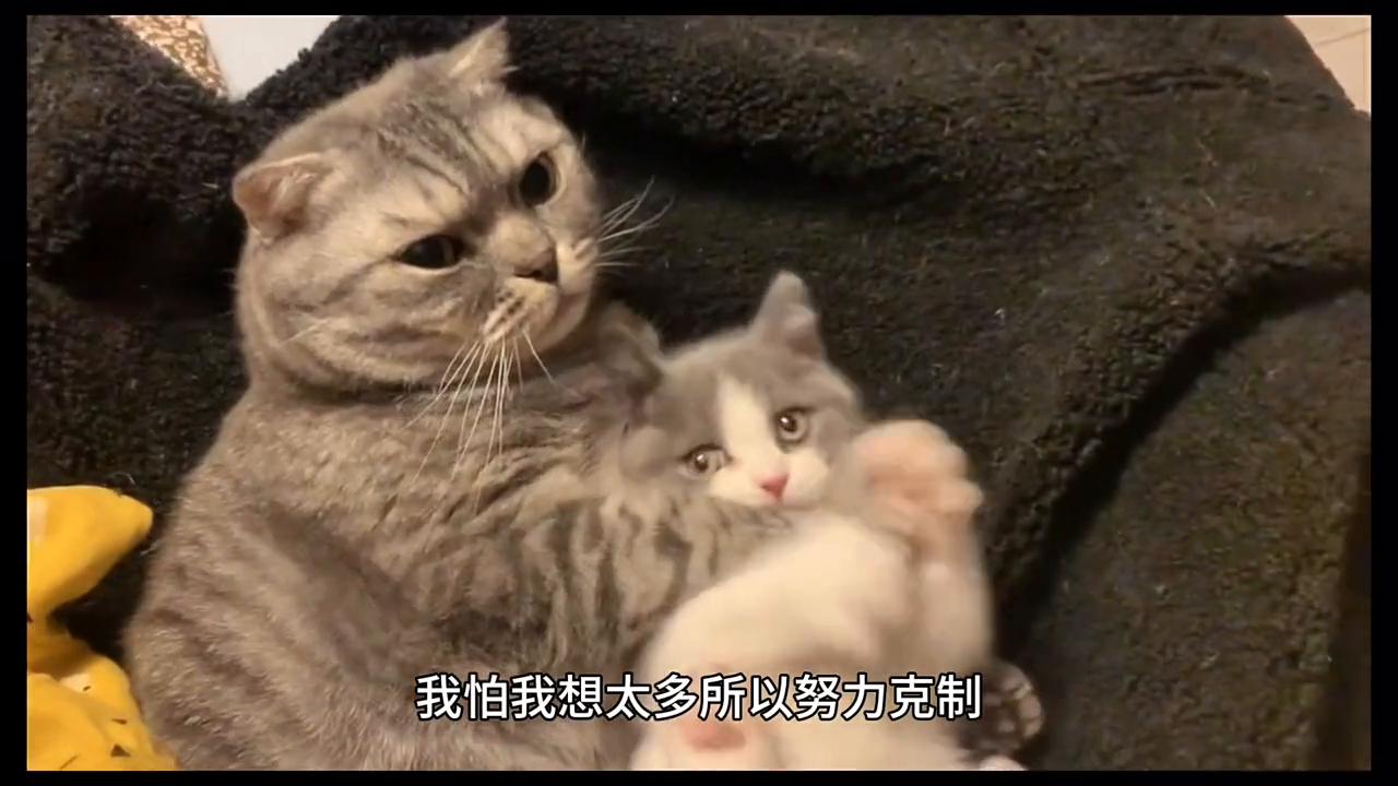 如何判断你同性朋友对你什么感觉,如何判断自己对同性朋友的感情