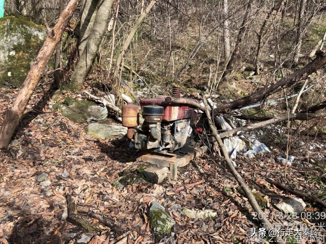首阳山穿越大坪梁景色怎么样,大坪梁穿越到首阳山攻略