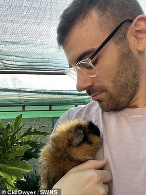 豚鼠被主人遗弃,前主人抛弃在出租屋里领养的猫咪