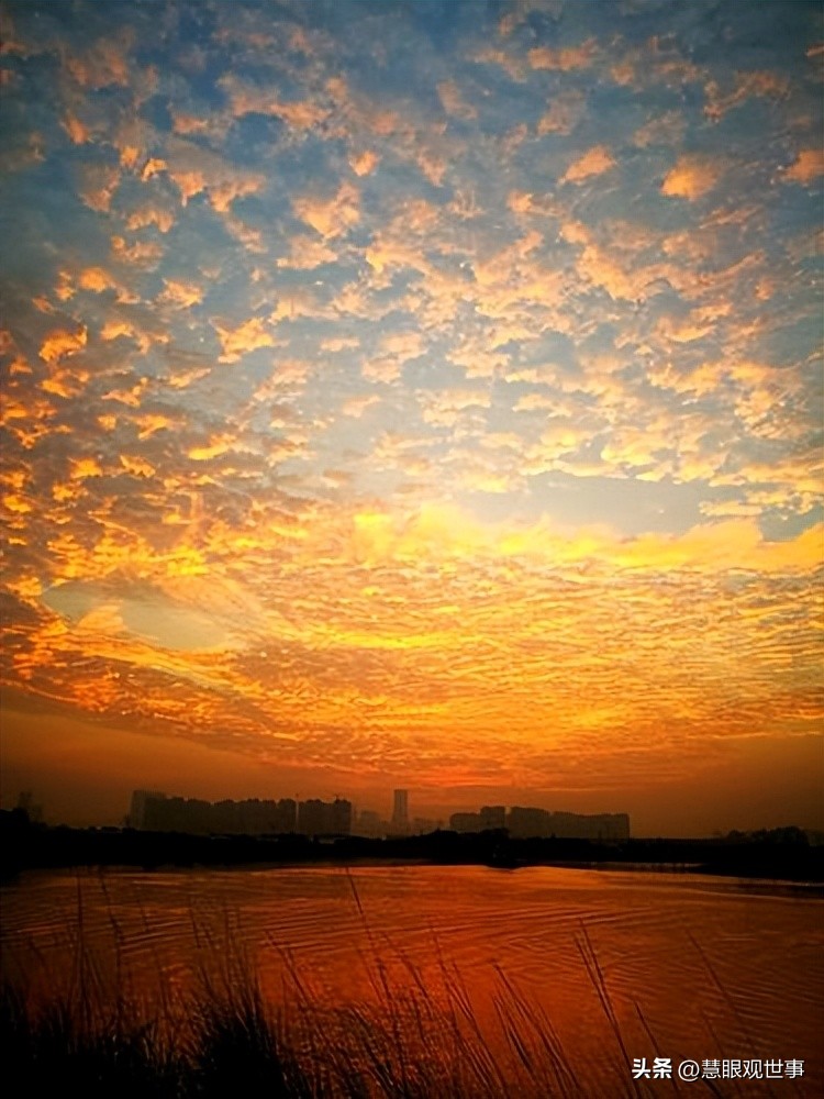 自然现象的古诗词,学生必背古诗词41到60句