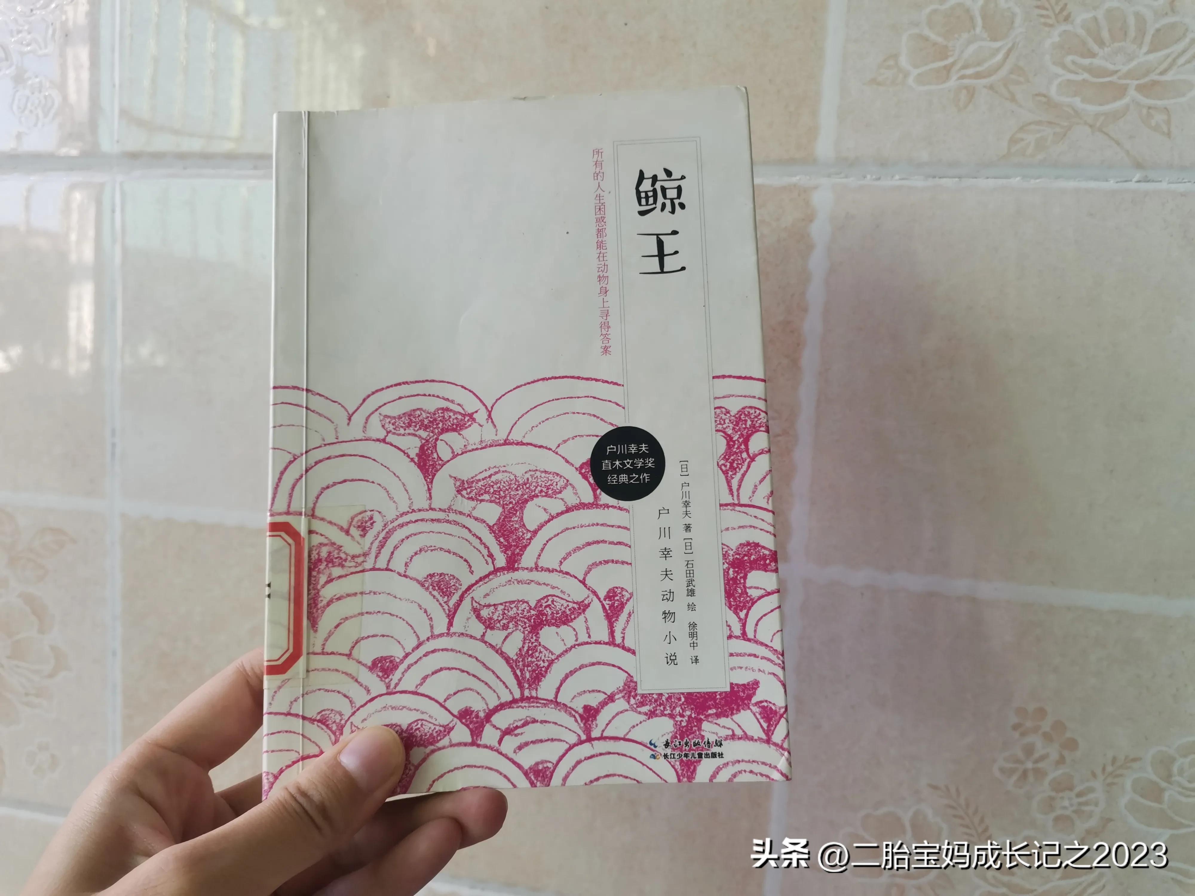 《鲸王》：所有的人生困惑，都能在动物身上寻得答案