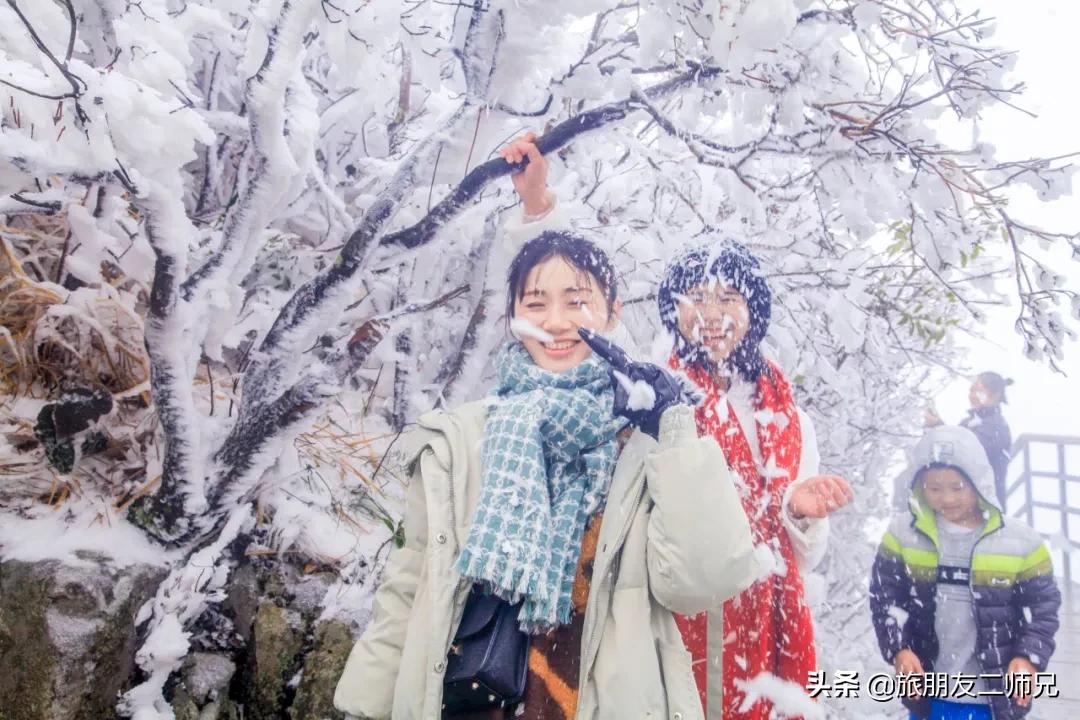 清远金子山旅游攻略看雾凇,广东金子山雪景旅游攻略