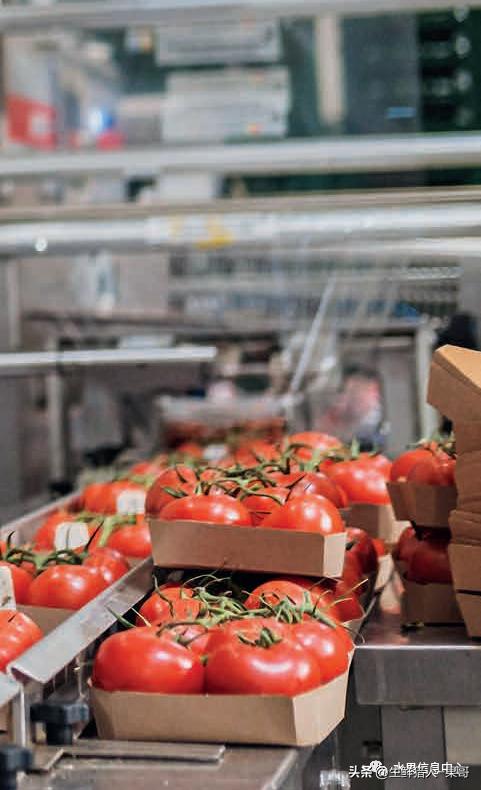 全国最大的果蔬批发市场,全球最大水果批发市场