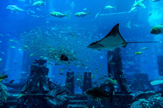 海南三亚旅游攻略推荐,三亚四大湾旅游详细攻略