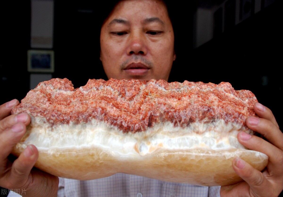 黑猪肉好养吗,为什么不养黑猪肉