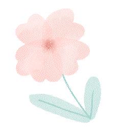 精油芳香疗法的作用是什么,精油调制香水