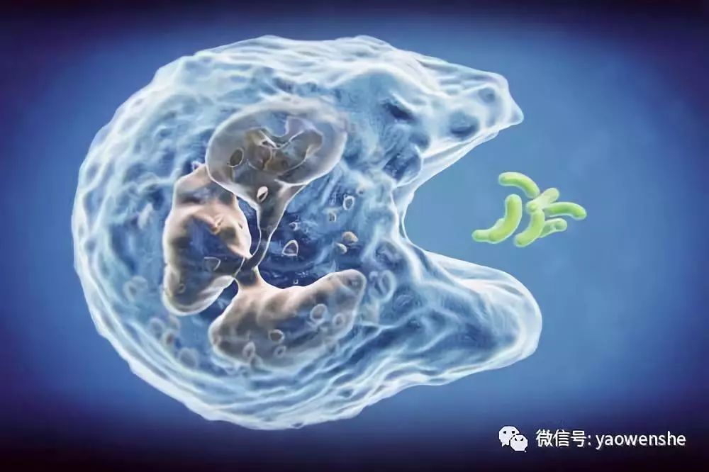 如何消除恐疫症,怎么消除新冠疫苗药性