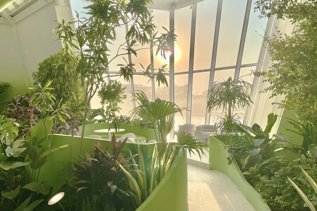 衡水园博园改造,衡水湖改造工程