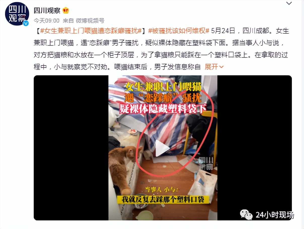 女生兼职喂猫遇骚扰,女生兼职喂猫疑遇骚扰