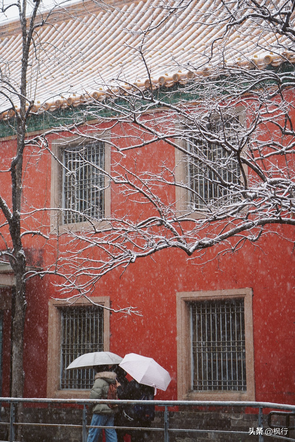故宫开启雪景模式北京迎今冬初雪,北京下雪去哪里看故宫最好看