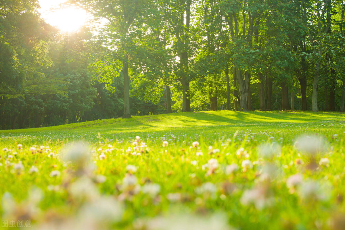 肺癌抗癌事迹,小细胞肺癌抗癌自述