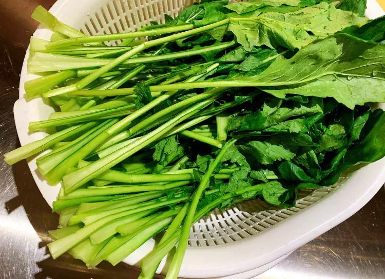 补钙第一名的菜芥蓝,营养专家推荐的7种绿叶蔬菜