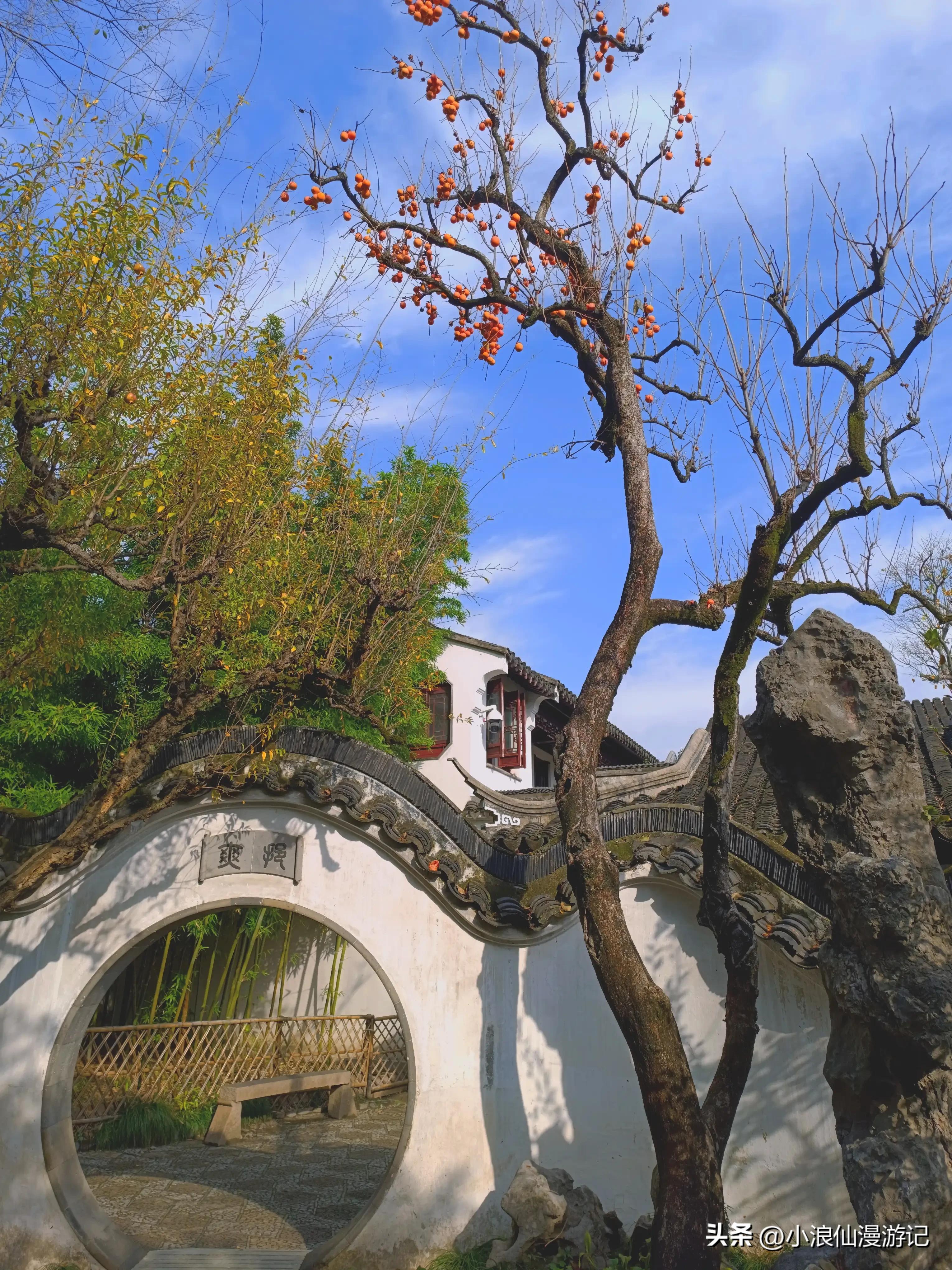 苏州园林怡园拍摄地点,苏州园林里的怡园是什么