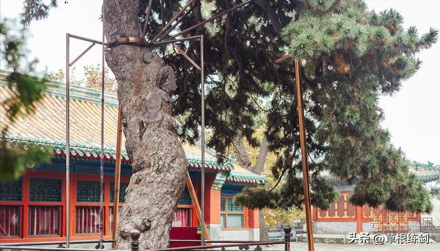 北京北海公园旅游攻略自由行,雨天游北京北海公园攻略