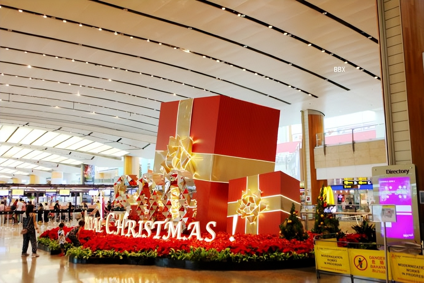 新加坡樟宜机场的仙人掌花园,新加坡最美机场在哪个航站楼