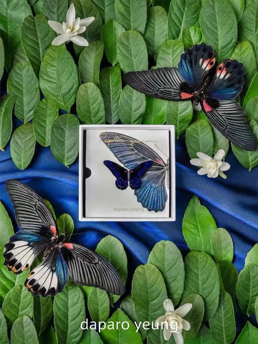 从淘宝到专卖店,从淘宝进一淘