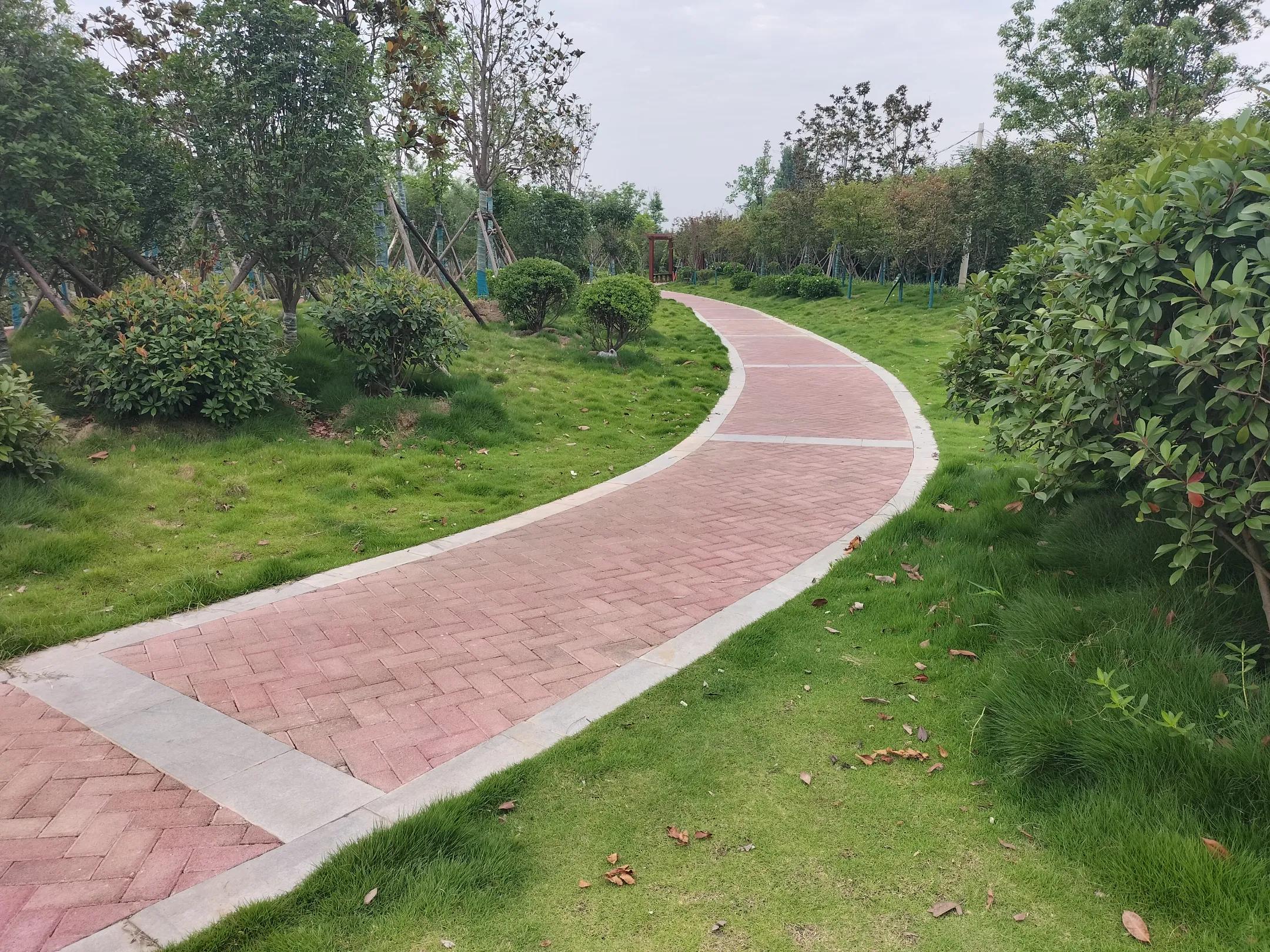 91岁老太太练体操惊艳全场,97岁老奶奶表演体操