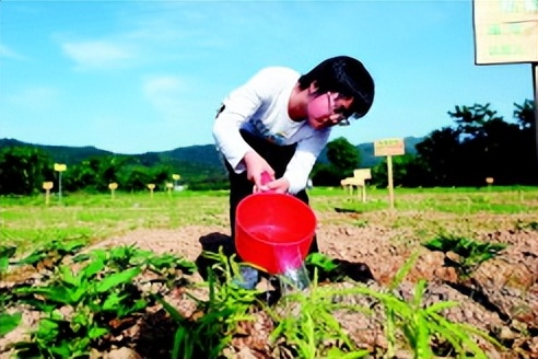 市民郊区租地种菜,菜园出租帮城市人种菜